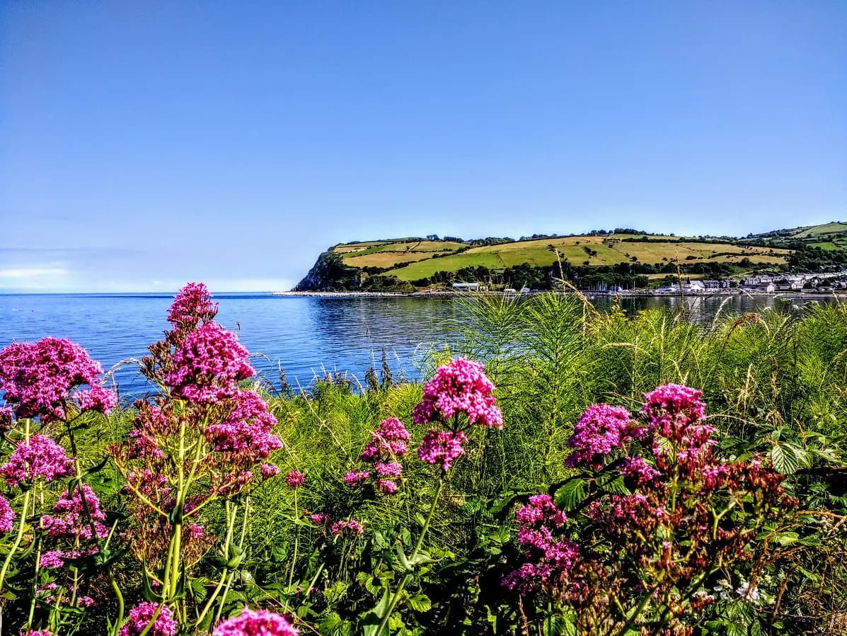 See More with Chauffeur Me Private Tours