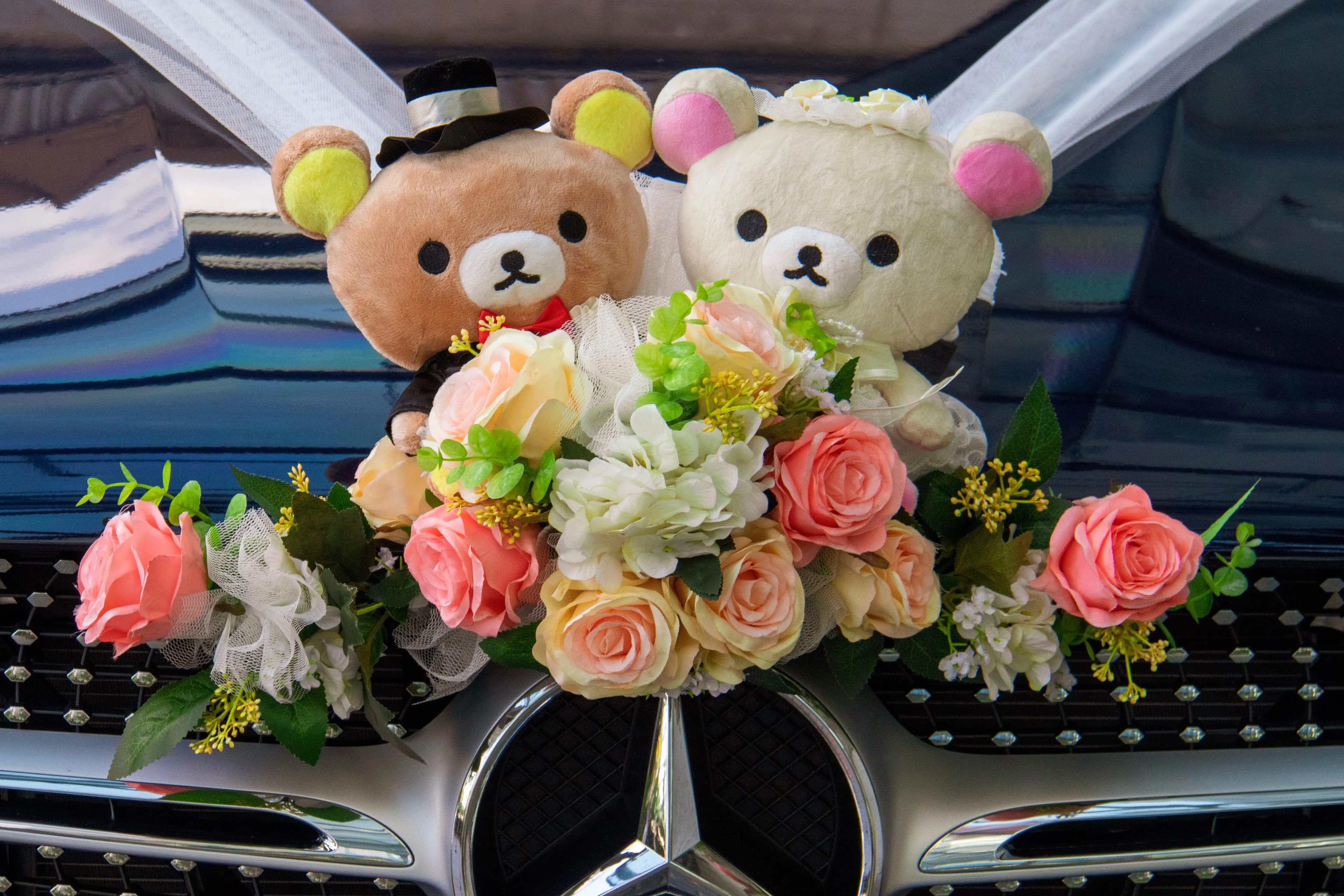 Professional Wedding Car Service