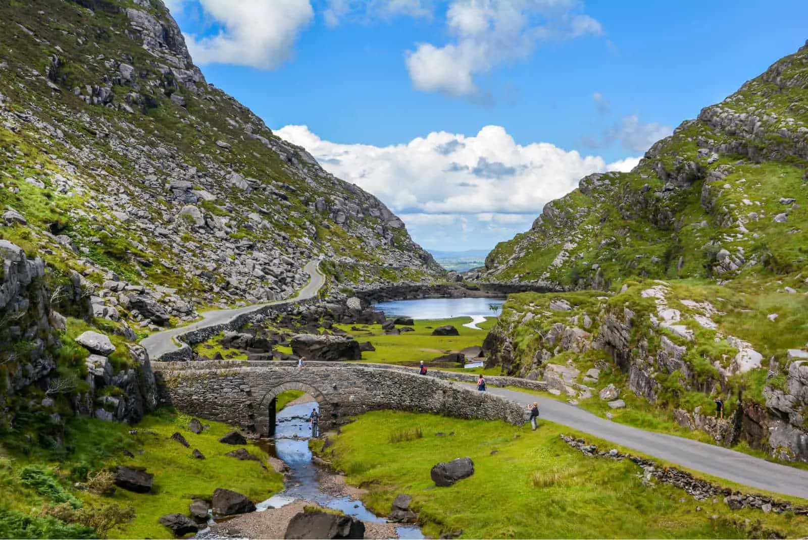 Chauffeured Tours for All